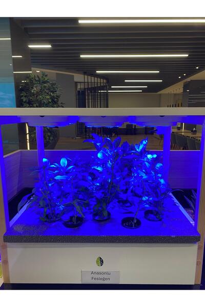 UPTECHLABS UGarden, Grow Light, Akıllı Bahçe, Hidroponik, Bitki Yetiştirme Sistemi