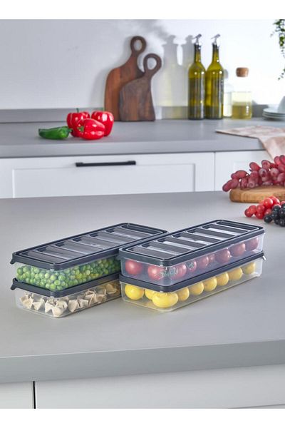 VİZYON 2 Pieces Horizontal Lid Icebox Storage Container Refrigerator Organizer Storage Container