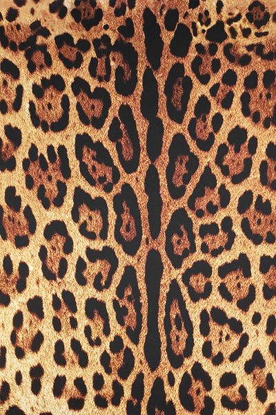 SARDO KUMAŞ Chiffon Satin Animal Pattern Digital Printed Fabric / Width 1.50 cm