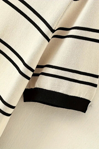 Tarz Cool Men's Stripe Detail Slim Fit Crew Neck Knitwear T-Shirt