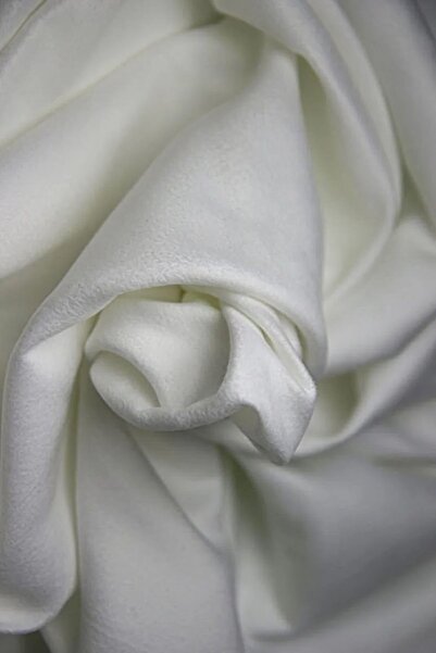 dekomingo Harry Potter and His Friends 2 Wing Background Curtain