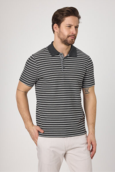 Frappoli Violes Чоловічий смугастий Slim Fit 100% бавовна антрацитовий поло з коміром