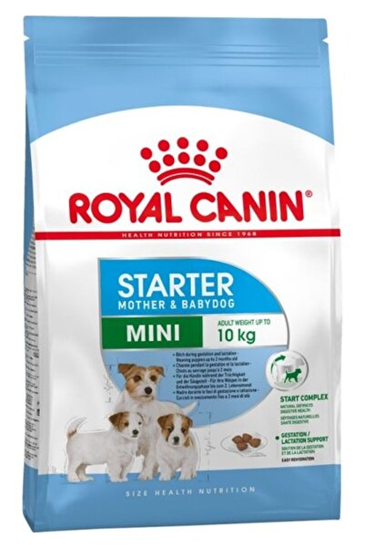 Royal Canin Mini Starter Mother And Babydog Kuru Köpek Maması 3 Kg