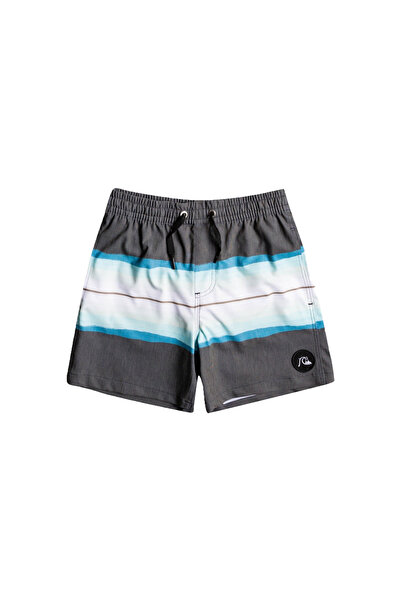 Quiksilver Resin Tint Boys' Volley Shorts Boys' Volley Shorts Eqbjv03395