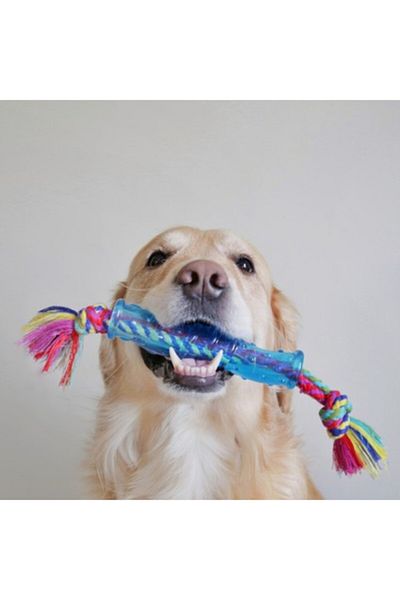 PetStages Orka Stick Alternative Drawstring Dog Chewing Toy