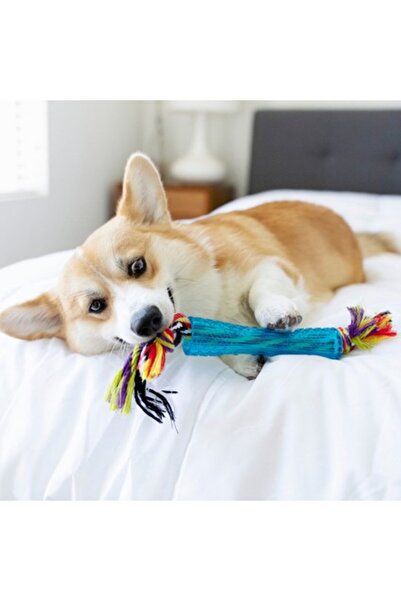 PetStages Orka Stick Alternative Rope Dog Chew Toy - Shatter-Resistant and Safe