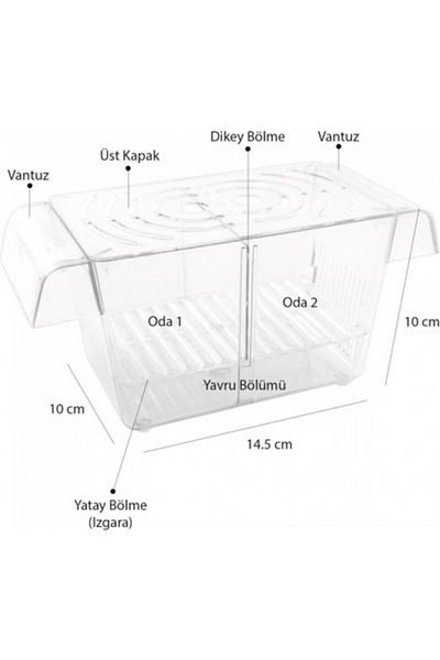Atlantis Atlantic Double Crystal Fish Puppy - 14.5 cm x 10 cm