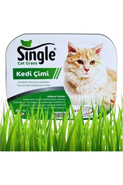 Single Natural Kedi Çimi
