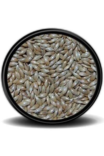 Genel Markalar Vivid Sade Kanarya Yemi Aspur 500 Gr