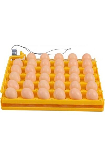 Genel Markalar Kulucka Makinesi 35 Li Gelişim Viyolu 1/240 Rpm Motor 220 V