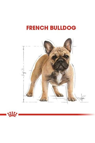 Royal Canin French Bulldog Adult Yetişkin Köpek Maması 3 Kg