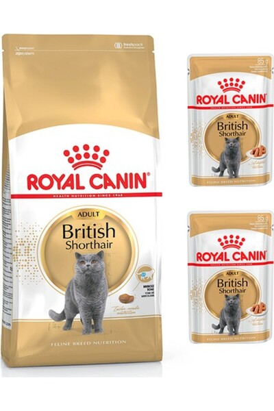 Royal Canin Adult Yetişkin British Shorthair Kedi Maması 2 kg + Royal Canin Y...