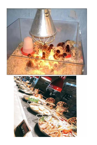 Avarson 250W Kızılötesi (infrared) Isıtıcılı Hayvan Isıtma ve Kuluçka Lambası (Sarı Işık) E27 (Kalın Duy)