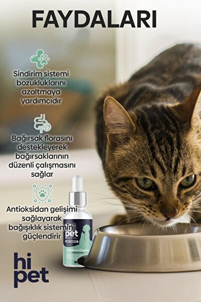 HiPet Sıvı Probiyotik Kedi Probiyotik 50 ml.