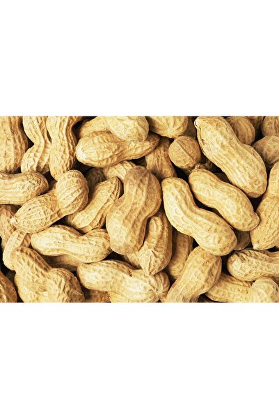 Birlik Kabuklu Fıstık (2 Kg )