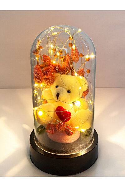 lenostra Ablaya Hediye Arkadaşa Hediye Anneye Hediye Sevgiliye Hediye Ayıcıkl...