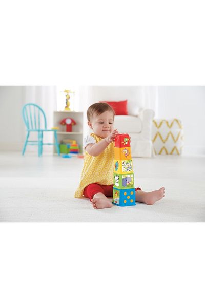 FISHER PRICE Jucării pentru copii și activități