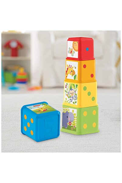 FISHER PRICE Eğlenceli Bloklar CDC52