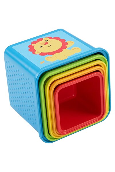 FISHER PRICE Eğlenceli Bloklar CDC52