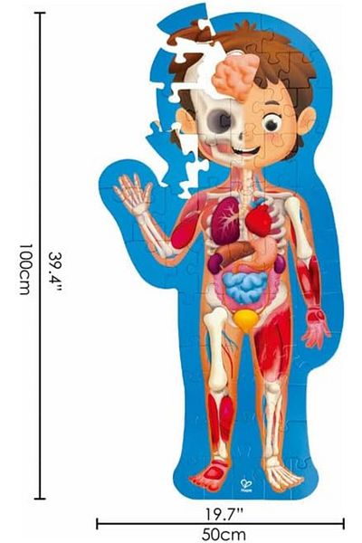 Hape Human Body Puzzle E1635