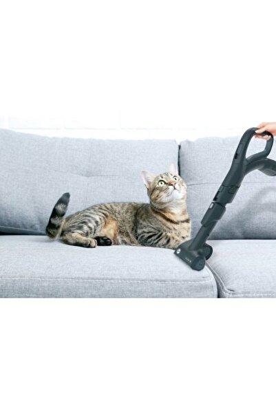 Hoover Hoover HP720PET 011 bagless vacuum cleaner, 2 L, 850 W, Black