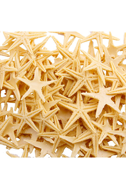 Eminonutoptanci Polyester Deniz Yıldızı Minik Boy  0.5 CM- 1.5 CM (100 Adet) ...