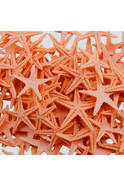TT Tahtakale Toptancıları Polyester Deniz Yıldızı Minik Boy 0.5 CM- 1.5 CM (1...