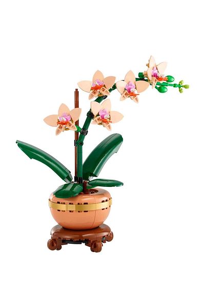 TOYFEST LEGO Botanicals - نموذج أوركيد صغير 10343