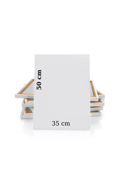 Glanart 10 renk akrilik boya seti 35x50 tuval ipek fırça seti 10x20 ml