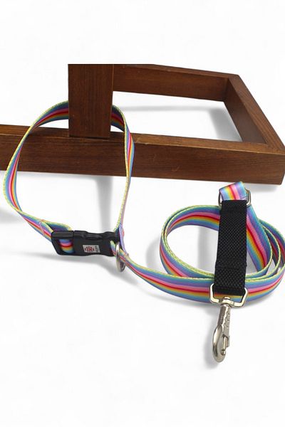 CARAMELOS Anti Shock Insignia with Binding Lock