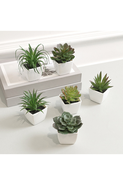 Choice XS (قديم) أخضر 6 قطع ديكور منزلي، نباتات صغيرة دائمة الخضرة اصطناعية ص...