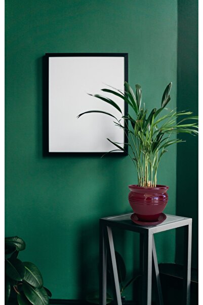 Evdek Tabaklı Klasik Beyaz Çömlek Saksı 19x19 Cm