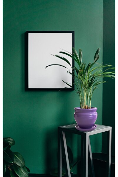 Evdek Tabaklı Klasik Lila Çömlek Saksı 17x17 Cm