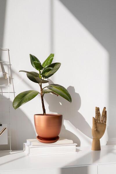 Evdek Tabaklı Bronz U Çömlek Saksı 24x24 Cm