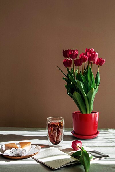 Evdek Tabaklı Kırmızı Silindirik Çömlek Saksı 15x15 Cm