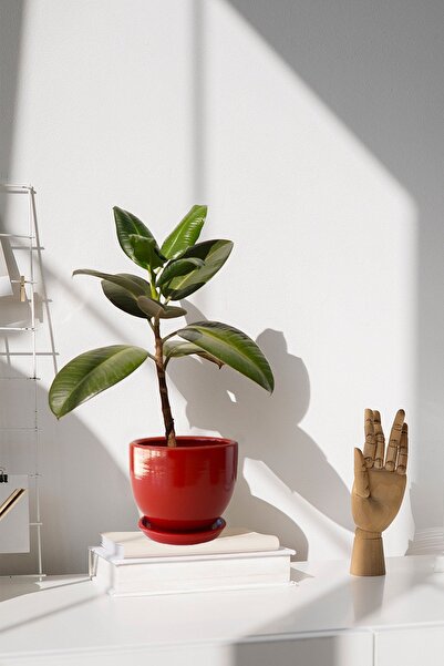 Evdek Tabaklı Kırmızı Çömlek Saksı 19x19 Cm