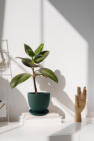 Evdek Tabaklı Haki Yeşil U Çömlek Saksı 16x16 Cm