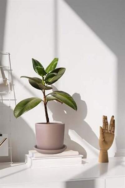 Evdek Tabaklı Vizon Silindir Çömlek Saksı 22x22 Cm