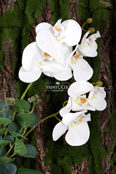 Yapay Çiçek Deposu Yapay Orkide Dekorlu Naturel Ağaç Kabuğu Yosun Tablo 40x60cm
