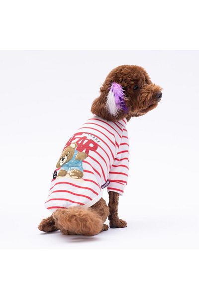 Pettrend Red Bear with Me Printed Knitwear Sweat Cat Dog Sweat Cat Dog Outfit