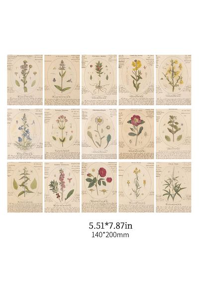 Choice C 30 Pcs/pack Vintage Large Size Material Paper Decorative Scrapbooking Diary Album Background Pape.