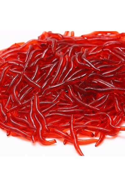 Choice 100 قطعة من طُعم الديدان الحمراء الصناعية المصنوعة من هلام السيليكا بط...