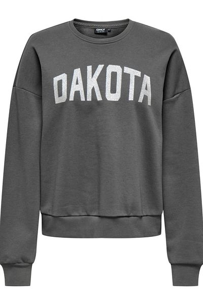 ONLY ONLJOLANA Glitter O-Neck L/S Gray 15304729