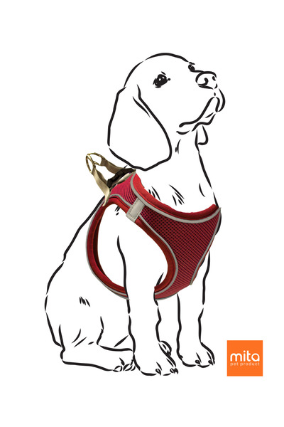 Mita Air Mesh Cat Dog Chest Collar Double Reflective, Anti-Sweat Collar