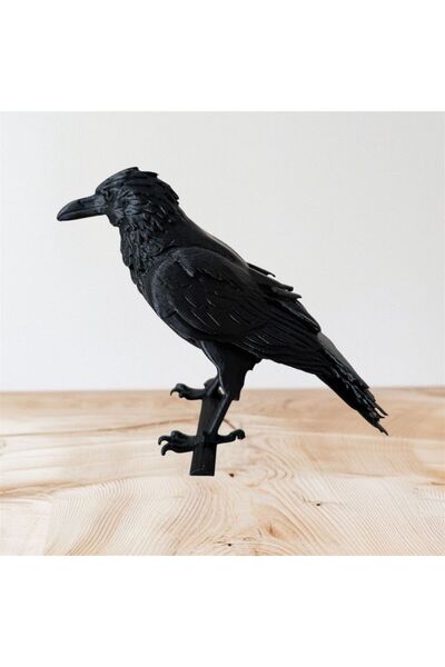 MYA DESİGN JEWERLY 3D Asil Karga Kuzgun Hediyelik Obje Biblo