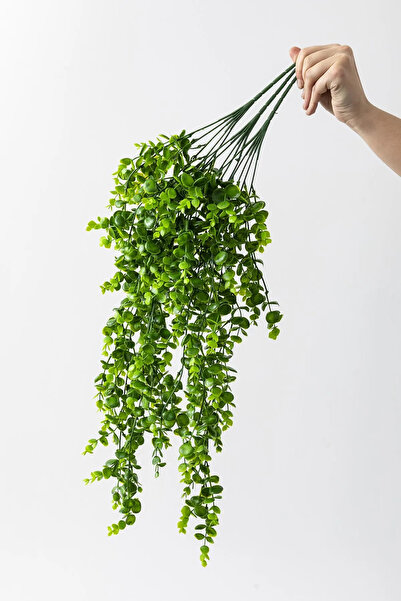 Cihan Çiçekçilik Yapay Okaliptus Sarmaşık 70 Cm