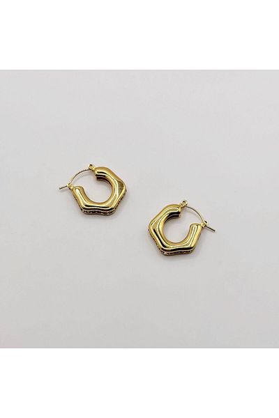 Swan Jewelry Zircon Stone Gold Color Steel Earrings