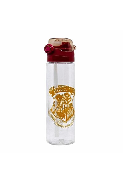 Harry Potter 700ml Matara