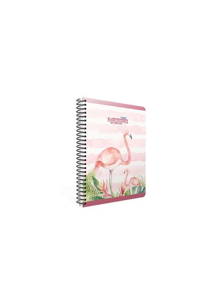 Gıpta Caiet cu copertă rigidă Flamingo Spiral 17x24cm 100 coli în carouri 4174
