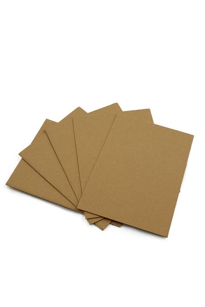 reprodesign 16X22 Protective Intermediate Cardboard 10 Pack